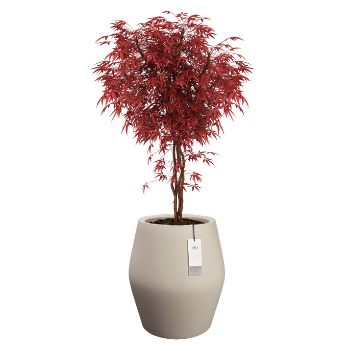 june split high 46cm greige